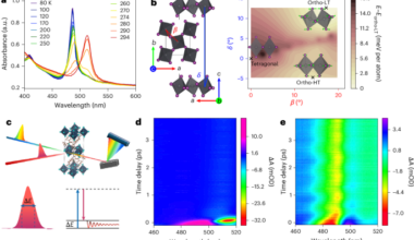 A metastable tetragonal phase in two-dimensional halide perovskite lattices driven by a coherent Higgs mode