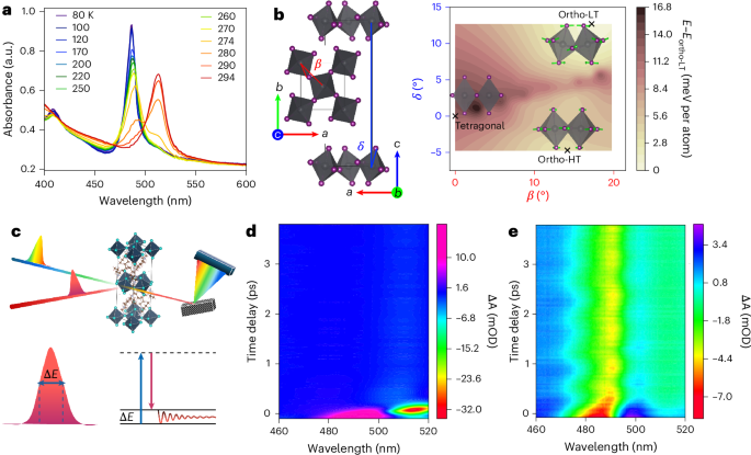A metastable tetragonal phase in two-dimensional halide perovskite lattices driven by a coherent Higgs mode