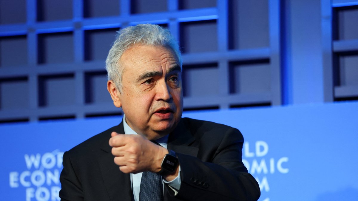 IEA chief hails Türkiye's dual-track energy diversification strategy