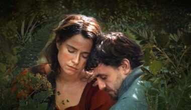 what’s the success down to? – The Irish Times