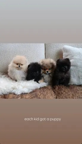 Kim Kardashian/Instagram Kim Kardashian's Instagram Stories on December 25, 2025.