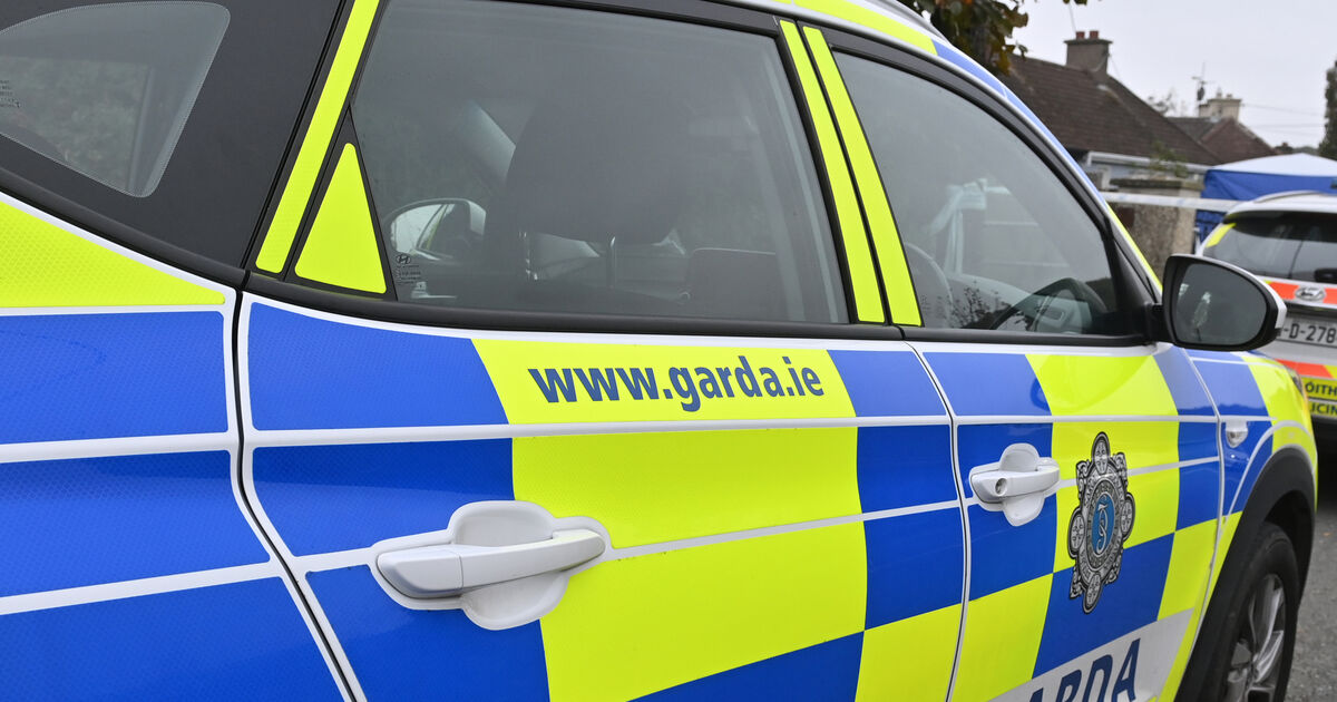 Two arrested after over €300k worth of drugs seized in Cork and Limerick