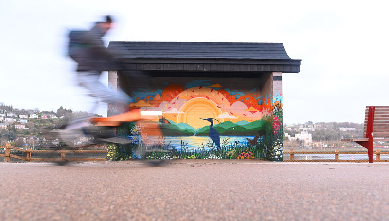  A cyclist passes the new colourful artwork by Street artist Raffaele Muraca (Silly Me Arts) on The Hut at Marina Promenade beside the River Lee. Picture: Larry Cummins