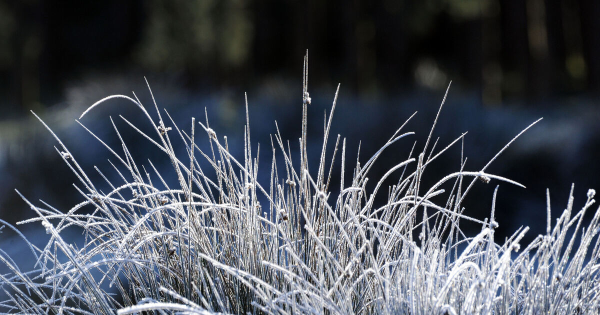 Bitter start to 2026 as temperatures to drop to -3C with snow possible
