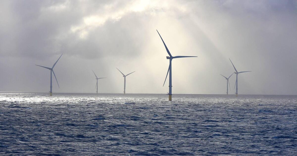 Plans scrapped for €1.4bn Atlantic wind farm opposed by Tommy Tiernan