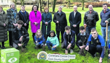 County council announces tree planting initiative for Cork schools