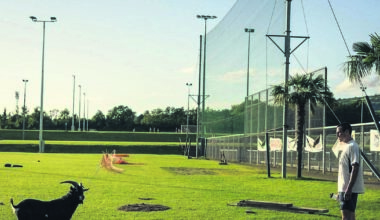 'Roy typifies so much of what I love about Cork’