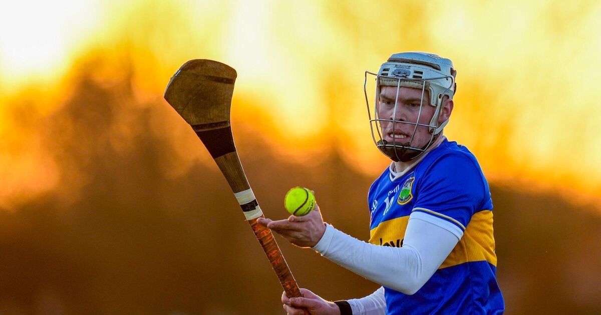 Oisin O'Donoghue grabs hat-trick as UL make Fitzgibbon Cup statement against Maynooth University - Irish Examiner