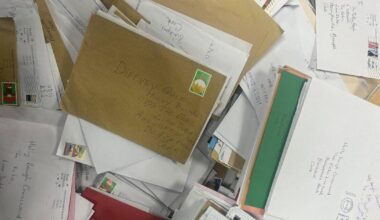 2025 Holly Bough Diffney and crossword solutions