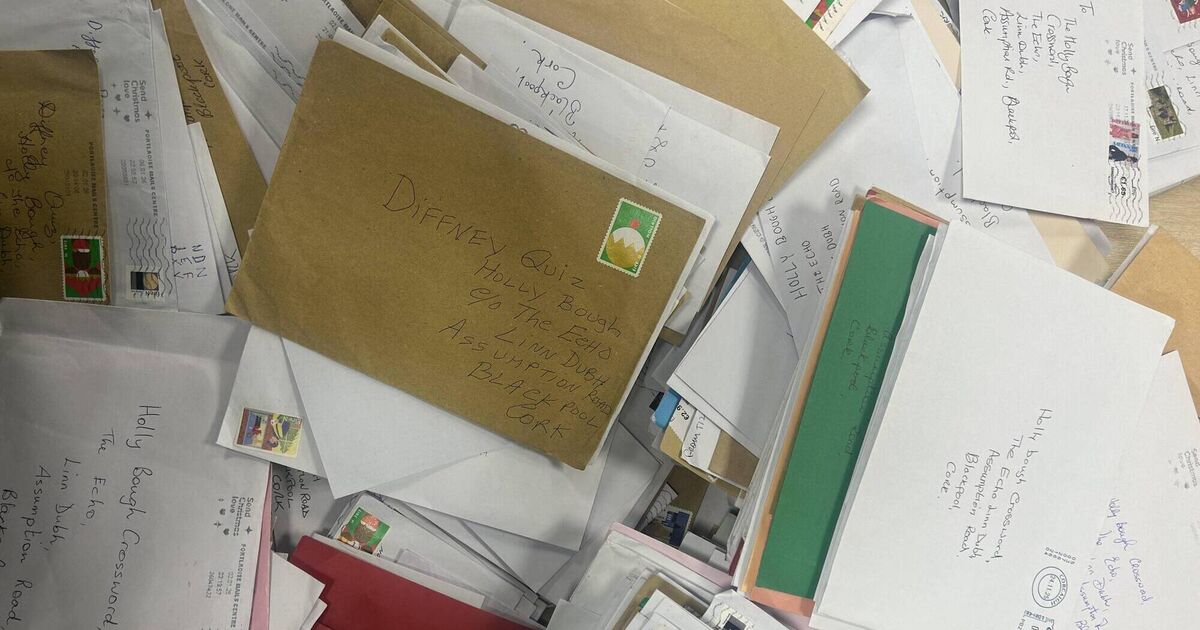 2025 Holly Bough Diffney and crossword solutions