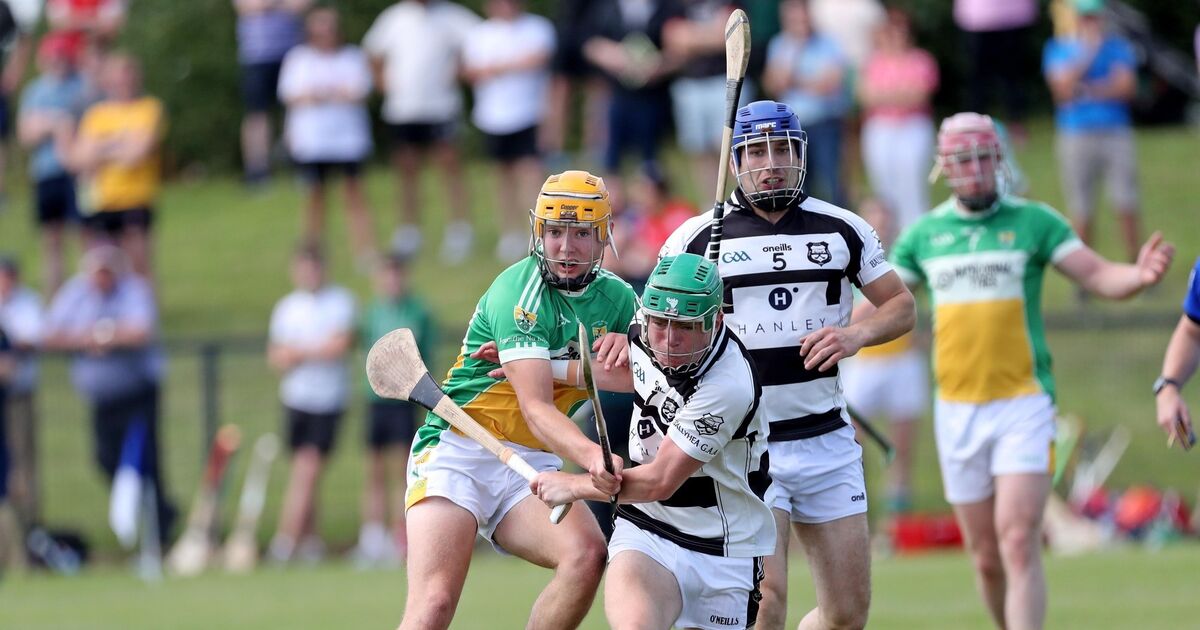Noel Hanley fronts new Ballyhea hurling management ahead of 2026 season