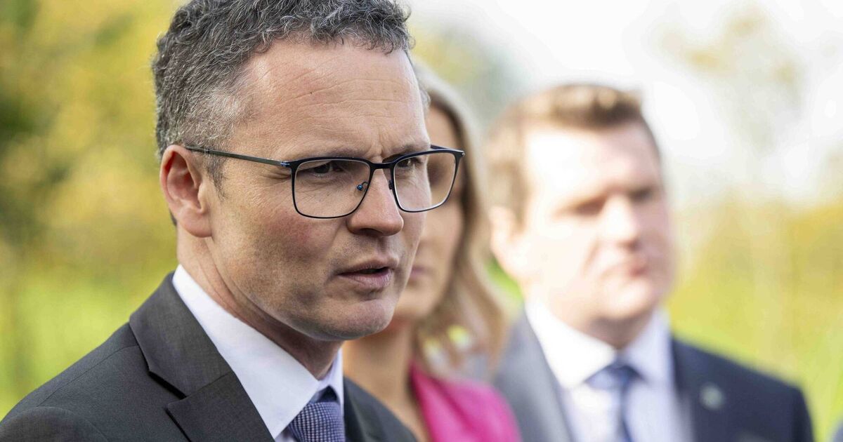 Media minister deletes X account amid controversy over Grok and explicit AI content