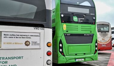 Cork buses collide with poles,bollards, branches ... and a stone!