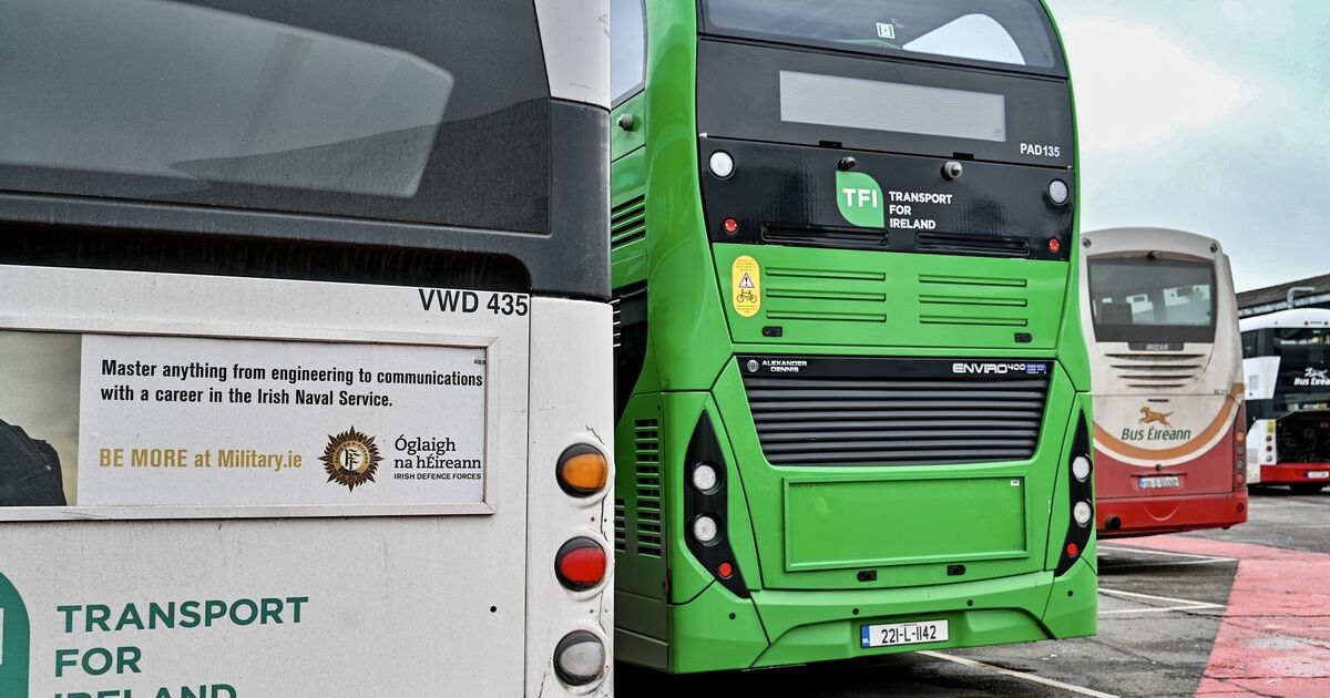 Cork buses collide with poles,bollards, branches ... and a stone!