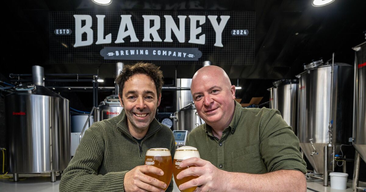Blarney Brewing Co expands in Kerry in wake of Killarney Brewing collapse