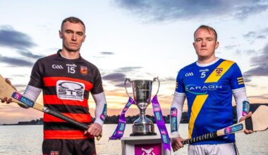 Ballygunner 'not bothered' by lack of Waterford support in All-Ireland quest, insists Pauric Mahony