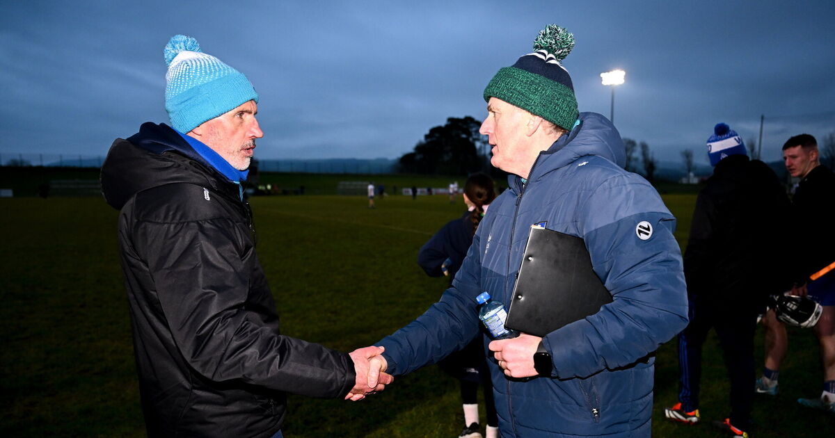 Limerick tune up for league with defeat of Waterford 
