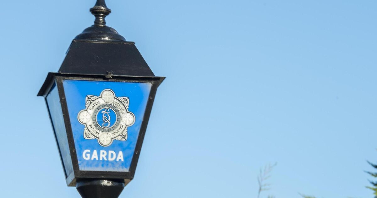 Gardaí investigate sexual assault allegations at Mid-West primary school