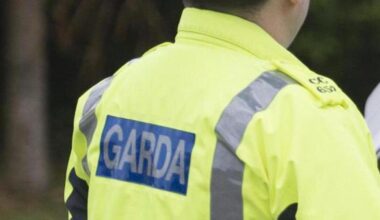 Five juveniles questioned over alleged sexual assault of schoolgirl in Dublin