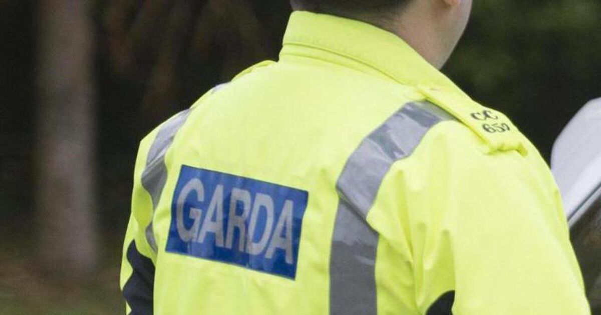 Five juveniles questioned over alleged sexual assault of schoolgirl in Dublin