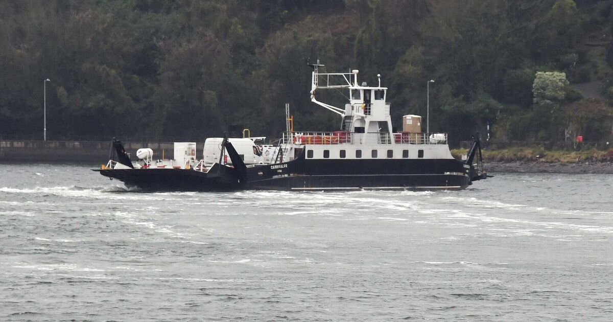 Owners of Cork Harbour ferry service to be asked to find solution to traffic congestion near terminal