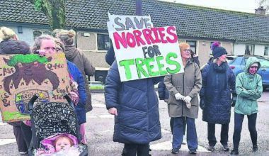 Northside residents protest removal of 22 trees to make way for cycle lane