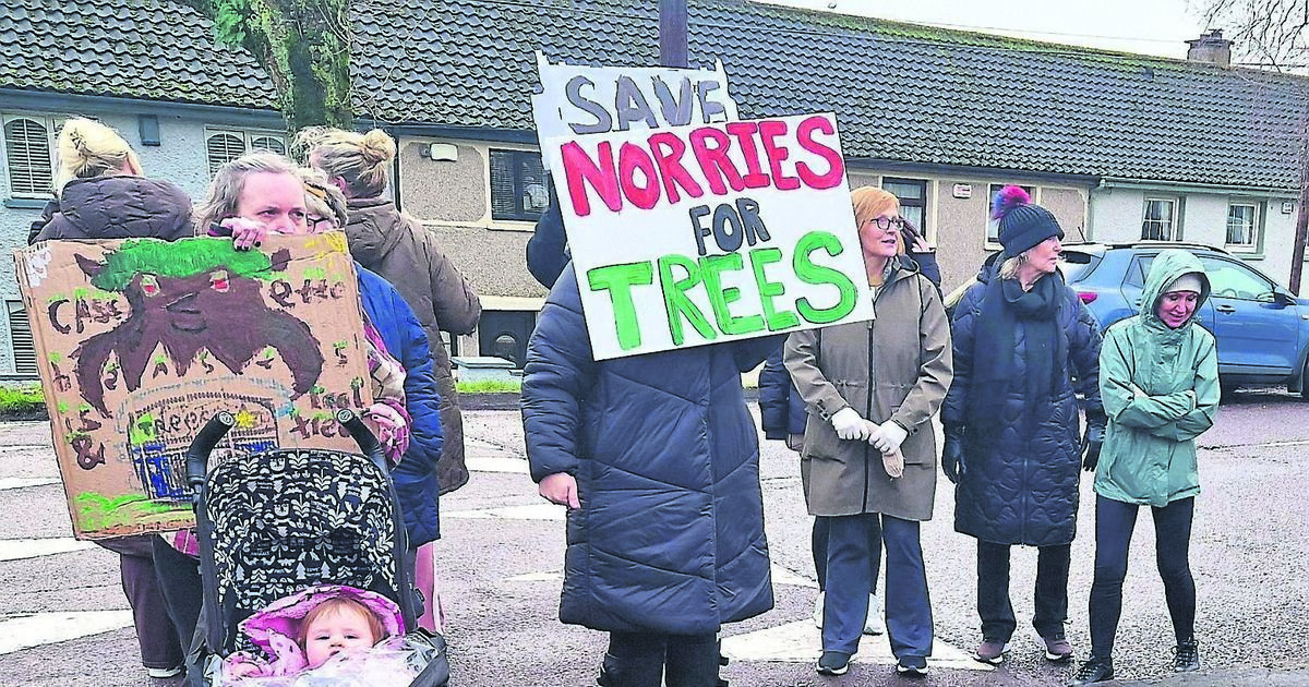 Northside residents protest removal of 22 trees to make way for cycle lane