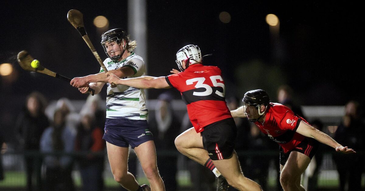 UL comfortably see off UCC to reach Fitzgibbon Cup semi-finals - Irish Examiner