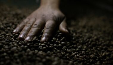 Brazil's instant coffee sector seeks clarity on US decision to keep 50% tariff