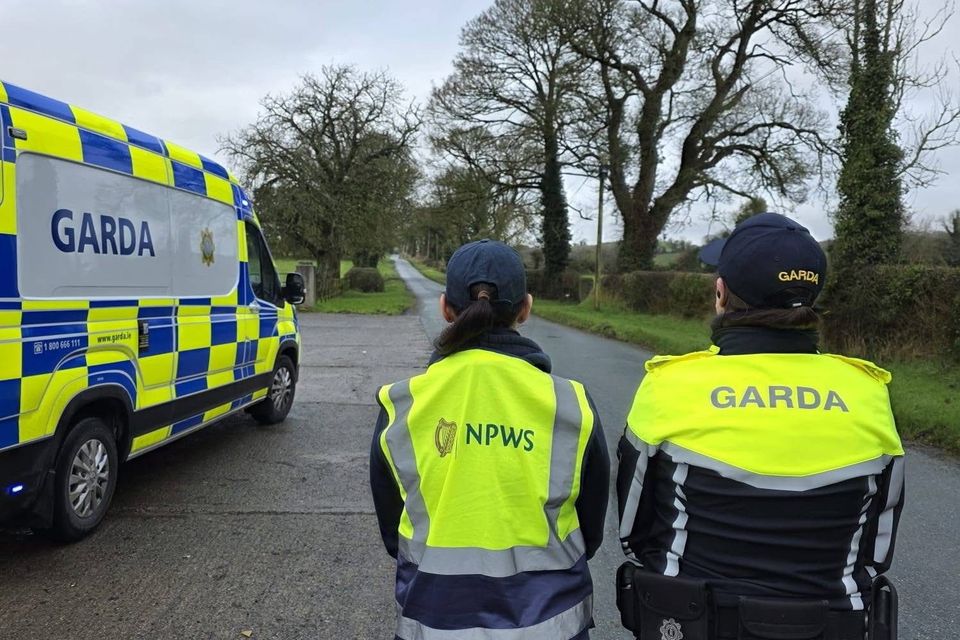 Gardaí and the National Parks and Wildlife Service (NPWS) carried out joint operations targeting illegal hunting in Co Kildare. Photo: An Garda Síochána Kildare