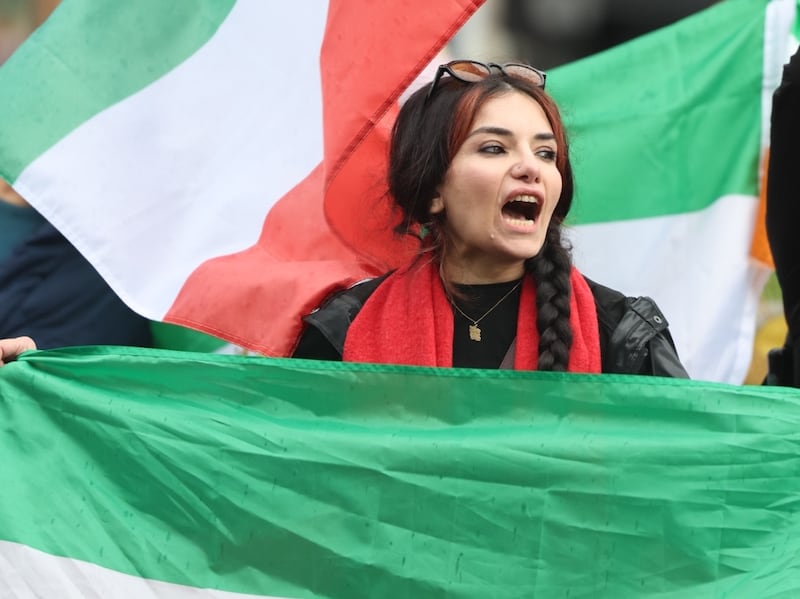 Rosa Farahani left Iran nine years ago due to the government and now wants it to be removed. Picture: Enda O’Dowd