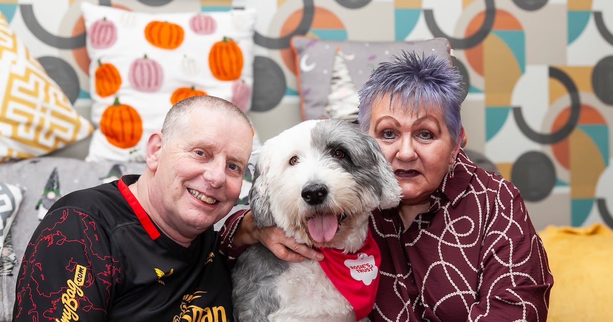 How a new charity partnership is keeping families and pets together after stroke and heart illness – The Irish News
