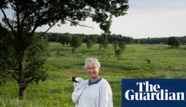 Experience: I live as a crane | Life and style