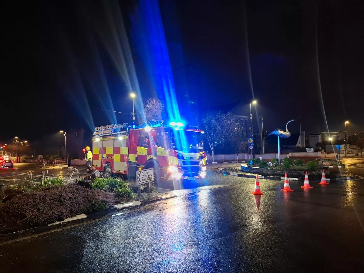 Members of Carrigaline Fire Brigade at the incident