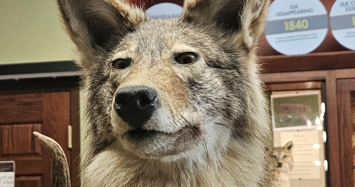 Elk Country Visitor Center programs in January | Local