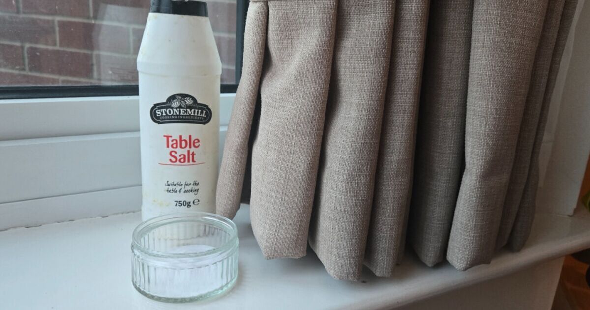 Households urged to put bowls of salt behind curtains | UK | News