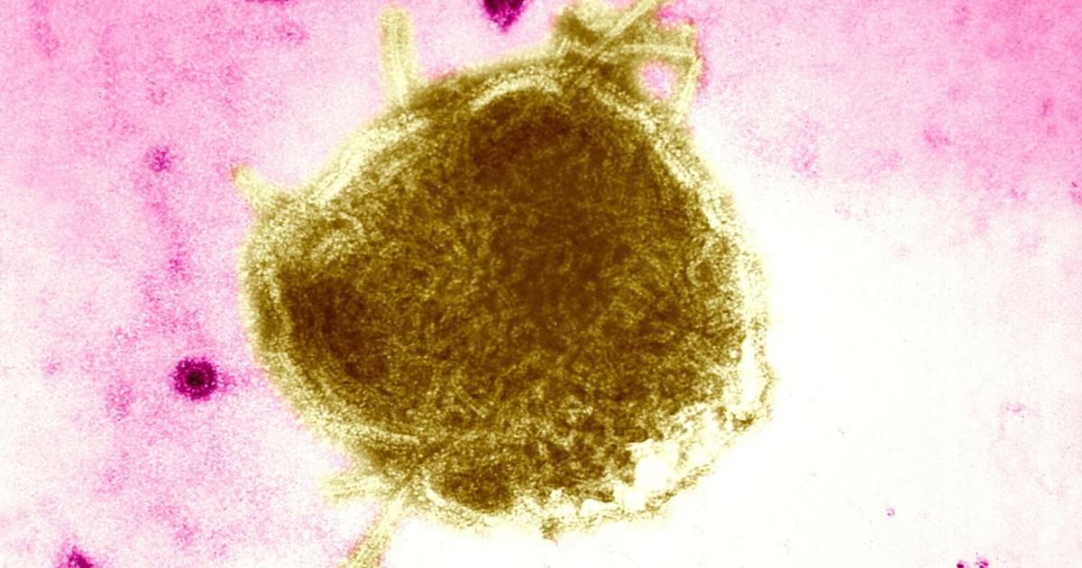 Oregon Health Authority confirms first measles case of 2026 | Top Stories