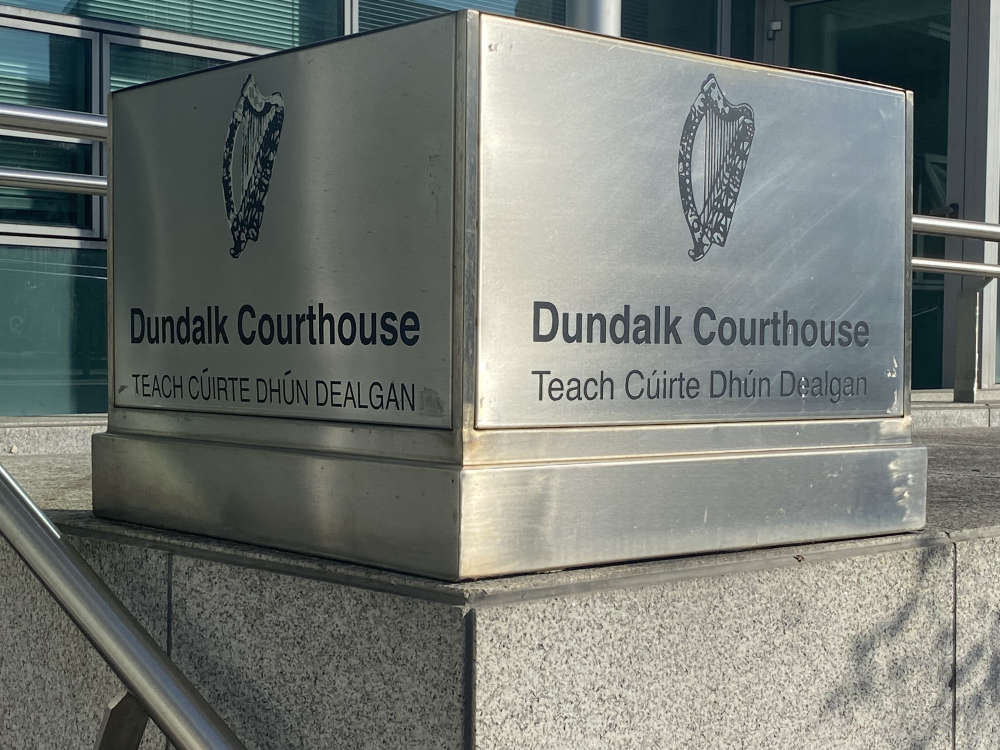 Garda pleads guilty over fatal hit-and-run