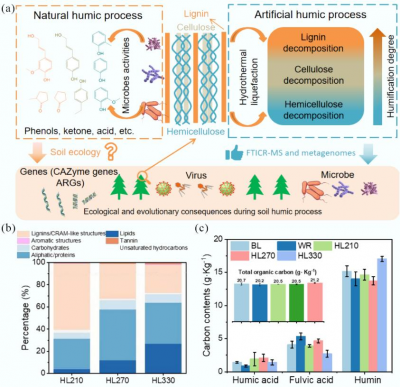From straw to soil signals: Humic substances drive microbial metabolism and antibiotic resistance