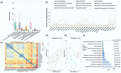 Viruses in Wastewater: Silent Drivers of Pollution Removal and Antibiotic Resistance
