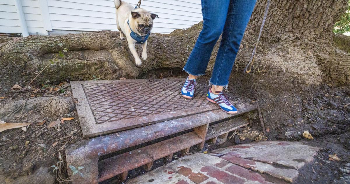 S&WB catch basin funding fell apart last year. What will happen in 2026? | News