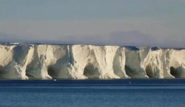 China's satellite data shows iceberg A23a in final stage of disintegration