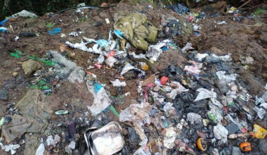 Maximum fine handed down as Limerick City and County wins environmental court cases