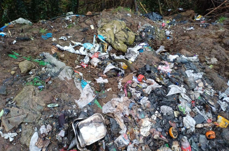 Maximum fine handed down as Limerick City and County wins environmental court cases