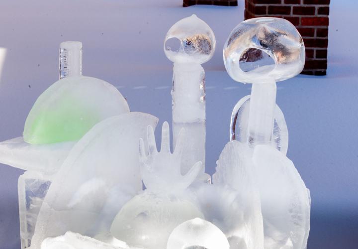 Landis Homes ice sculptures