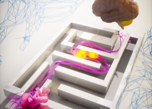 New Research Connects Heart Attacks to Brain, Nervous and Immune Systems