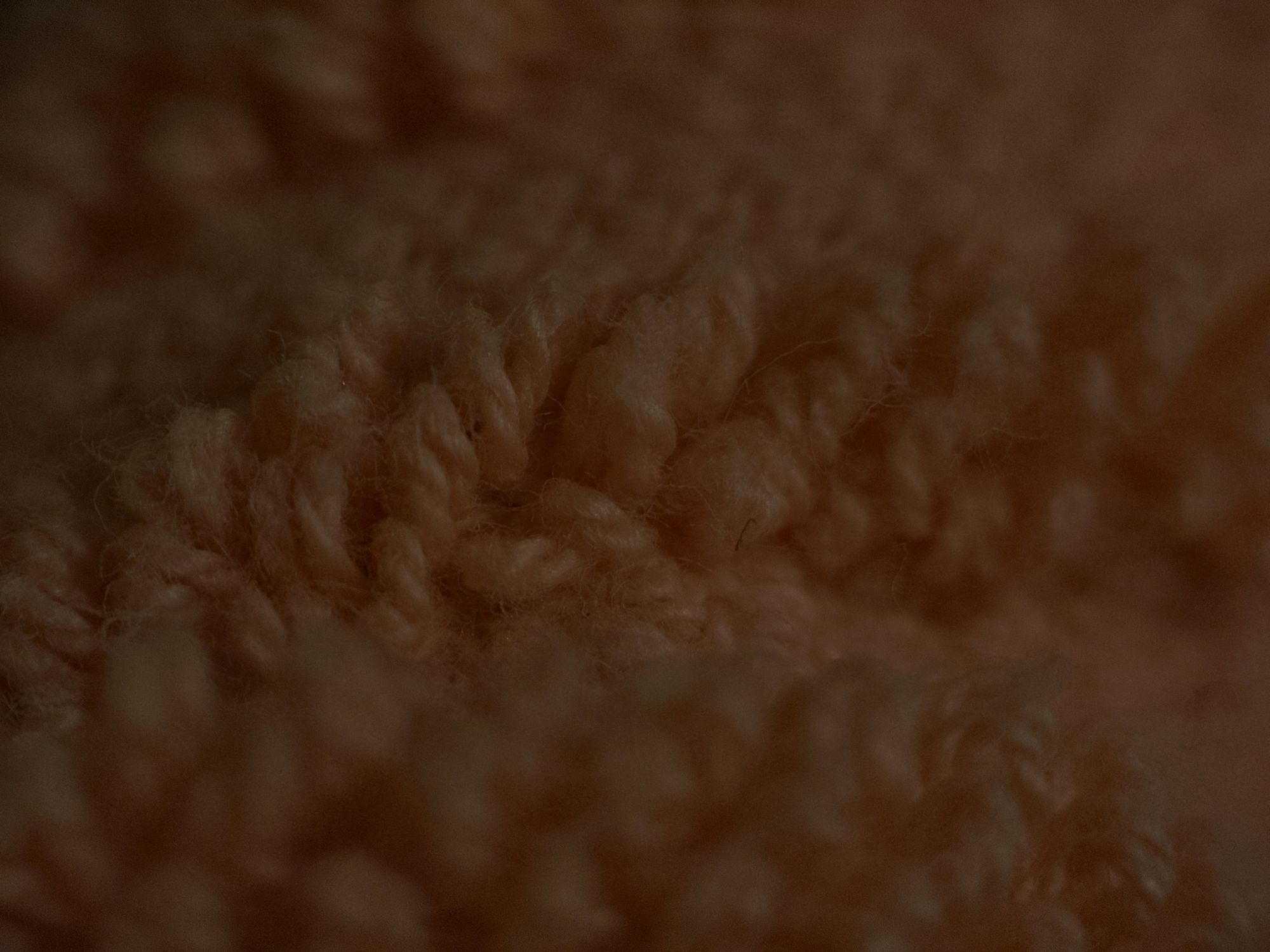 Shiftcam 240mm Super Zoom Tele macro sample.