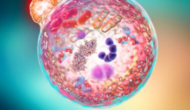 Could autophagy be the fast way to slowing neurodegenerative disease? – The Irish Times