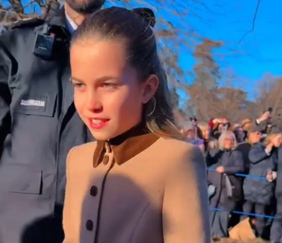 @vilmacostello/TikTok