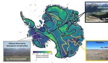 Subscribe Placeholder